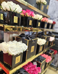 COUTURE SQUARE 4 ROSE BUDS BLACK GLASS GOLD - Blush - SVB402