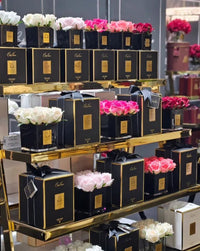 COUTURE SQUARE 4 ROSE BUDS BLACK GLASS GOLD - Peach - SVB405