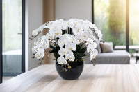 NEW VASE | Luxury Giant Orchid White - GO01