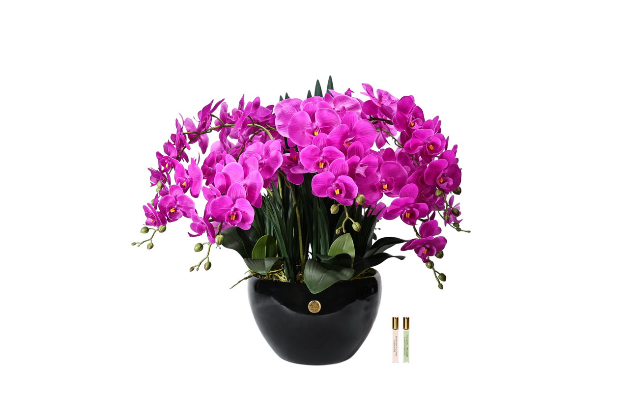 Luxury Giant Orchid Fuchsia - GO09