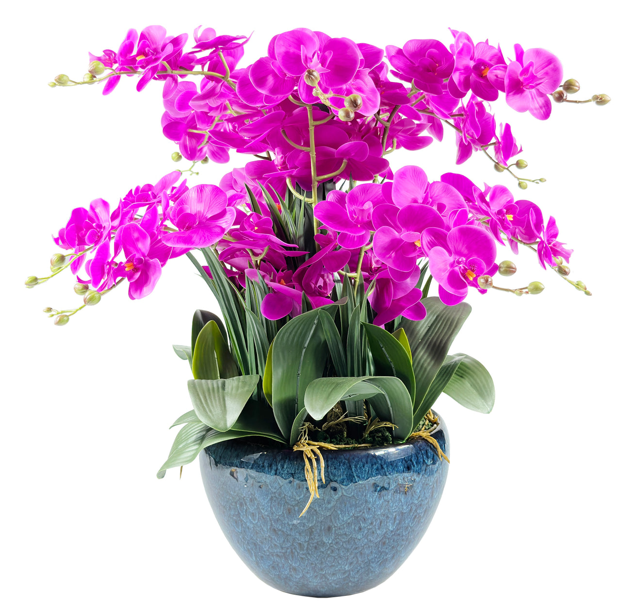 Luxury Giant Orchid Fuchsia - GO09