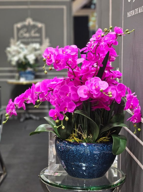 Luxury Giant Orchid Fuchsia - GO09