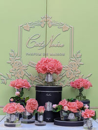 Cote Noire Perfumed Natural Touch 5 Roses - Clear - White Peach - GMR65