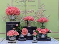 Cote Noire Perfumed Natural Touch 5 Roses - Clear - White Peach - GMR65