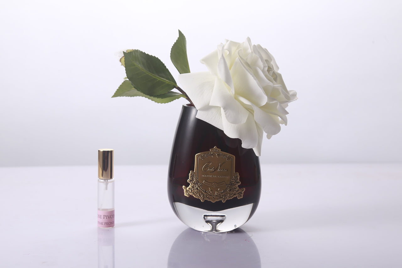 Cote Noire -Tear Drop Tea Rose in Dark Glass - Ivory White - STR02
