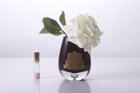 Cote Noire -Tear Drop Tea Rose in Dark Glass - Ivory White - STR02