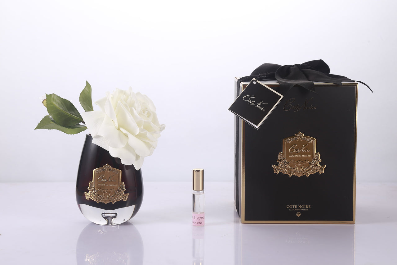 Cote Noire -Tear Drop Tea Rose in Dark Glass - Ivory White - STR02