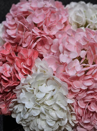 *NEW* LUXURY PROVENCE HYDRANGEAS BOUQUET MEDIUM - MIXED PINK - GOLD BADGE - PHB02M