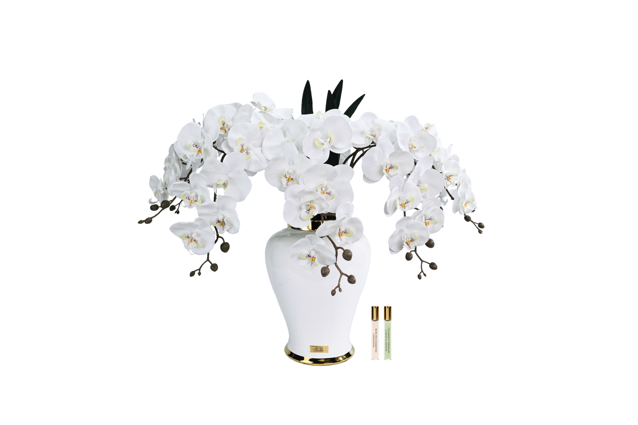 *NEW* Imperial Orchid - White - IMPO01