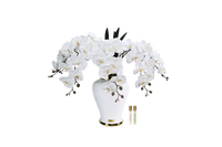 *NEW* Imperial Orchid - White - IMPO01