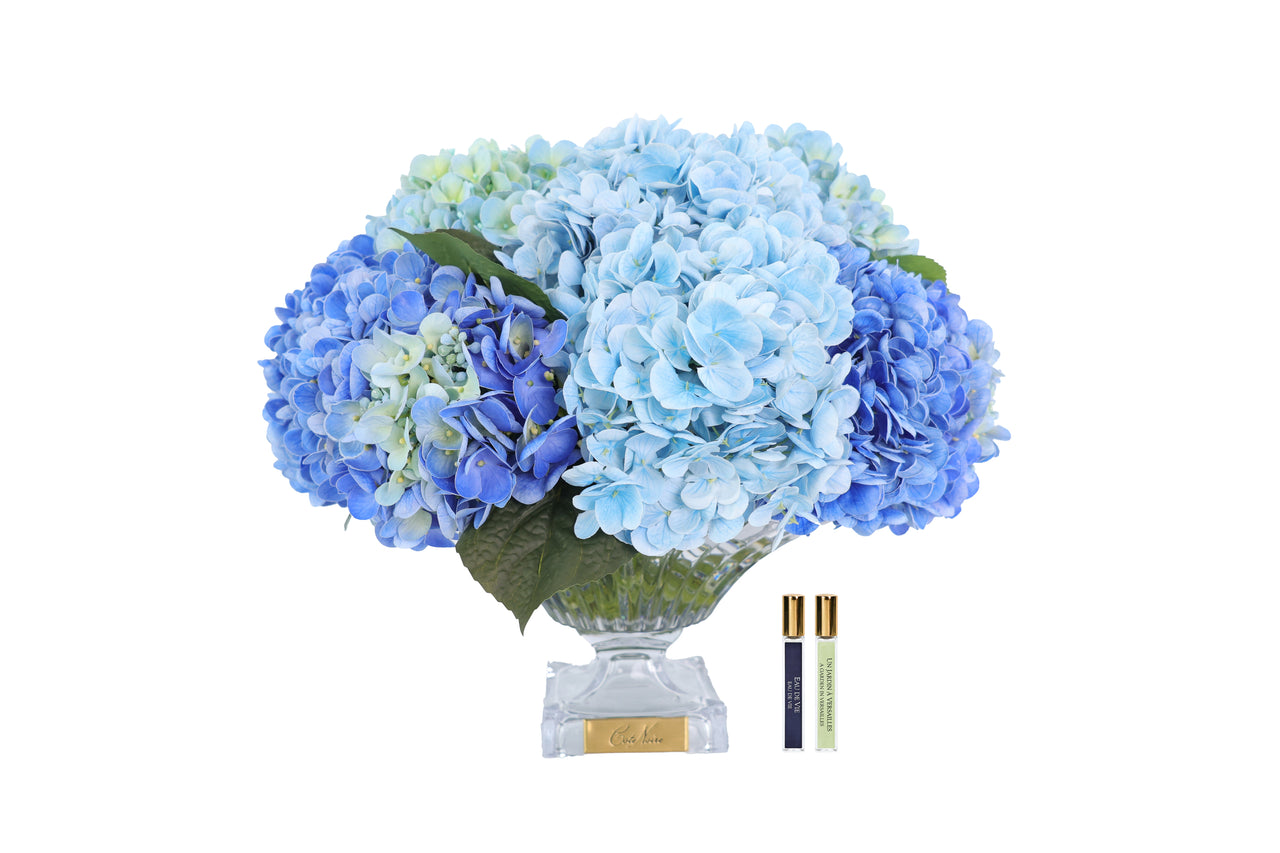 BCH03 | *NEW* Blue Hydrangeas Bordeaux Collection & Gold Badge