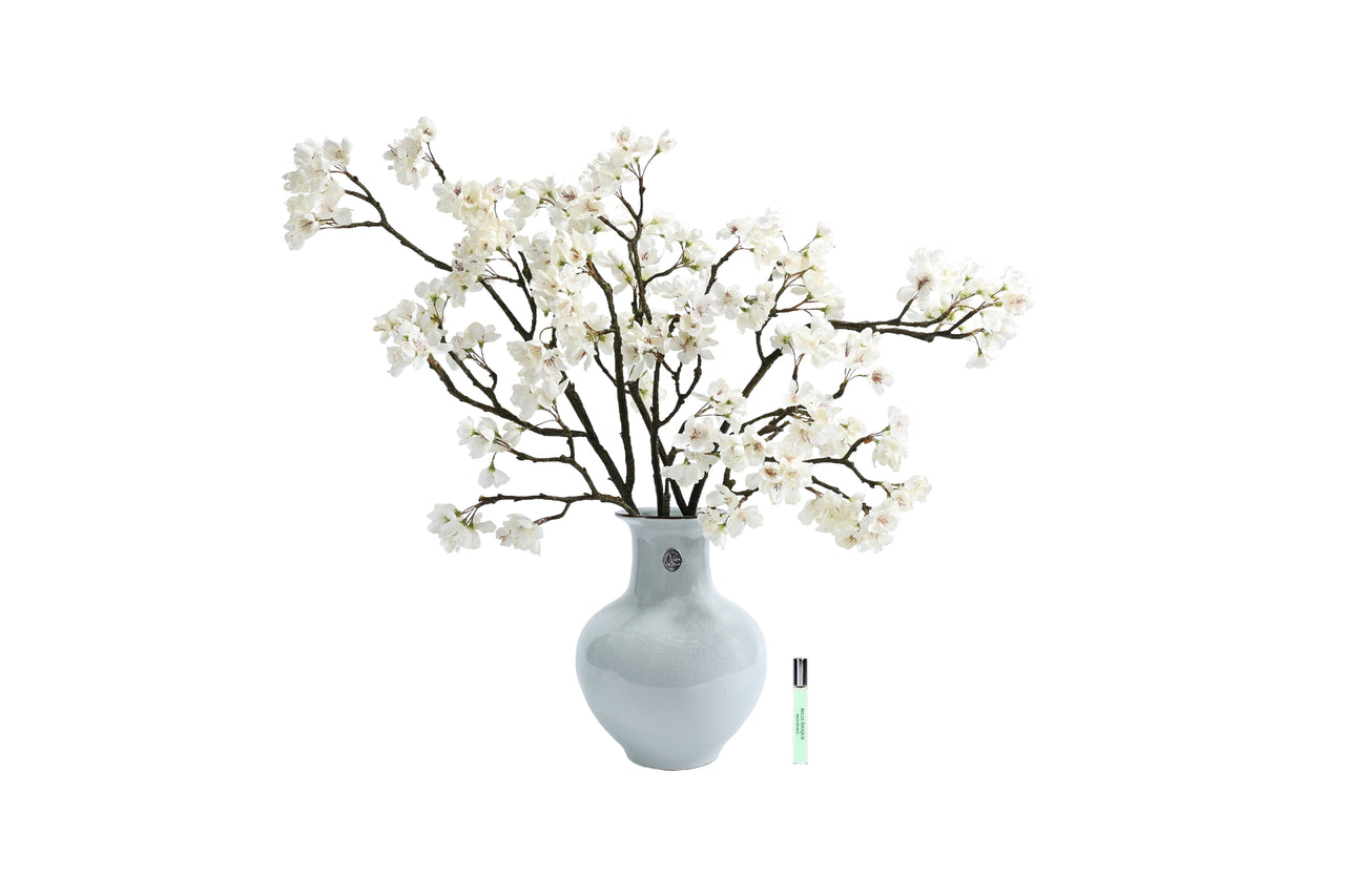 *NEW* Celadon Cherry Blossom - Ivory White - CEL01