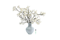 *NEW* Celadon Cherry Blossom - Ivory White - CEL01