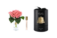 CHR05 | *NEW* Charente Rose in White Peach & Gold Badge