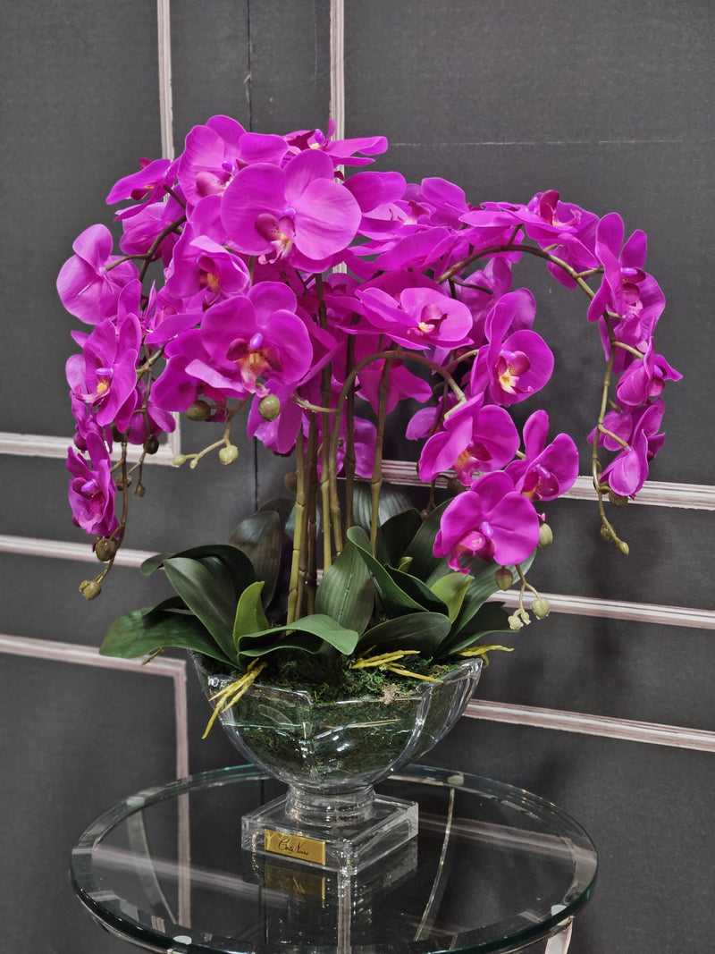 Centrepiecel Orchides - Fuchsia - CPO09