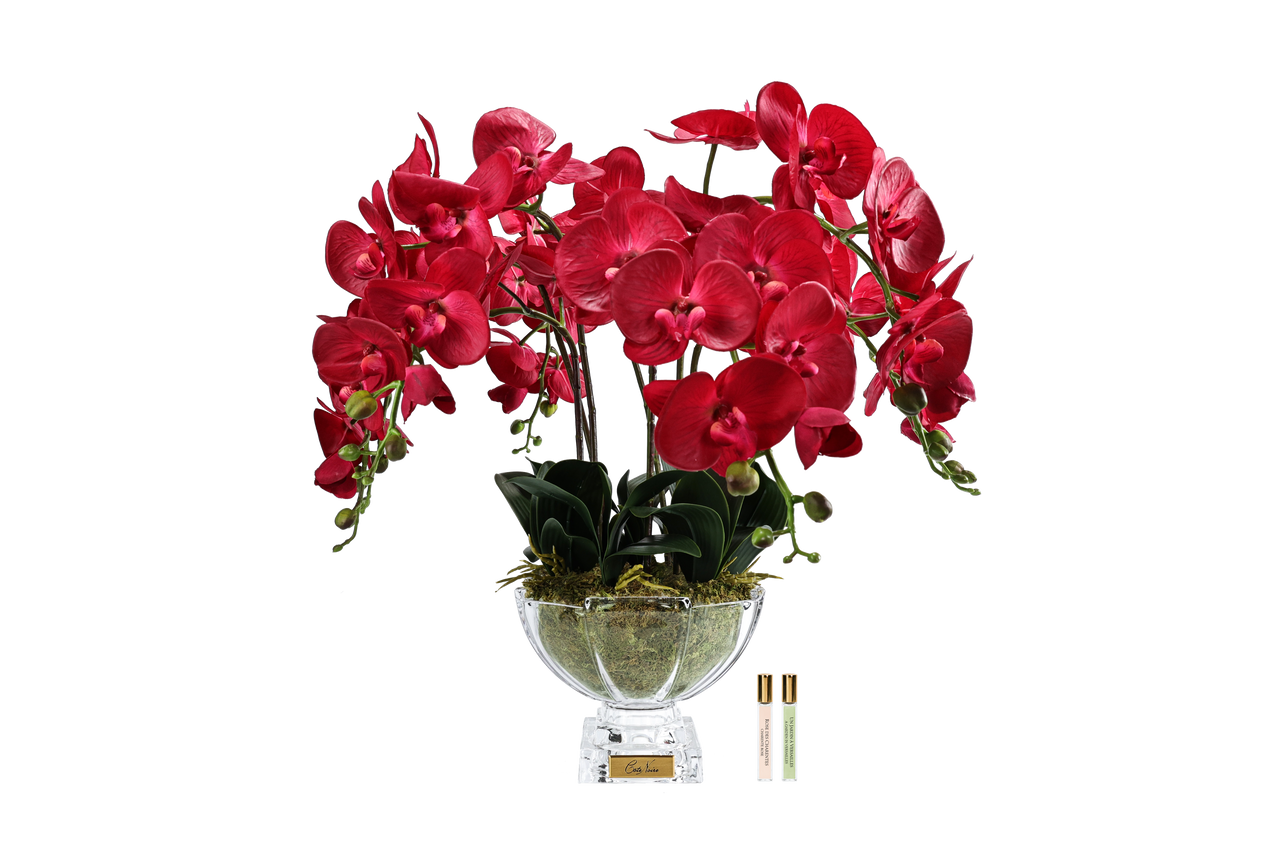 Centrepiece Orchides - Red - CPO14