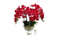 Centrepiece Orchides - Red - CPO14