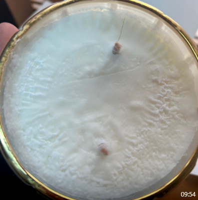 FACTORY SECONDS - SOLD AS IS - Art Deco Candle - Cream & Gold - Blonde Vanilla - GML45015