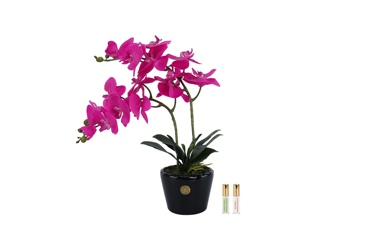 DOP09 | *NEW* Double Orchid - Piano black & Fuchsia
