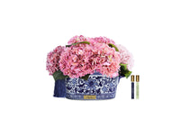 *NEW* GRAND CHINOISERIE HYDRANGEAS - Mixed Pink - GCH02