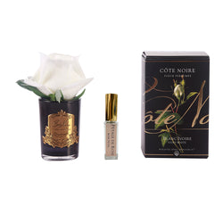 Cote Noire Perfumed Natural Touch Rose Bud - Black - Ivory White - GMRB41