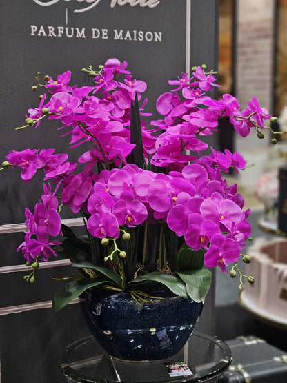 Luxury Giant Orchid Fuchsia - GO09