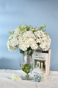 GSH01 | NEW Grand Summer Hydrangeas in White
