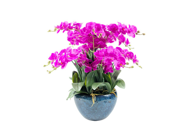Luxury Giant Orchid Fuchsia - GO09