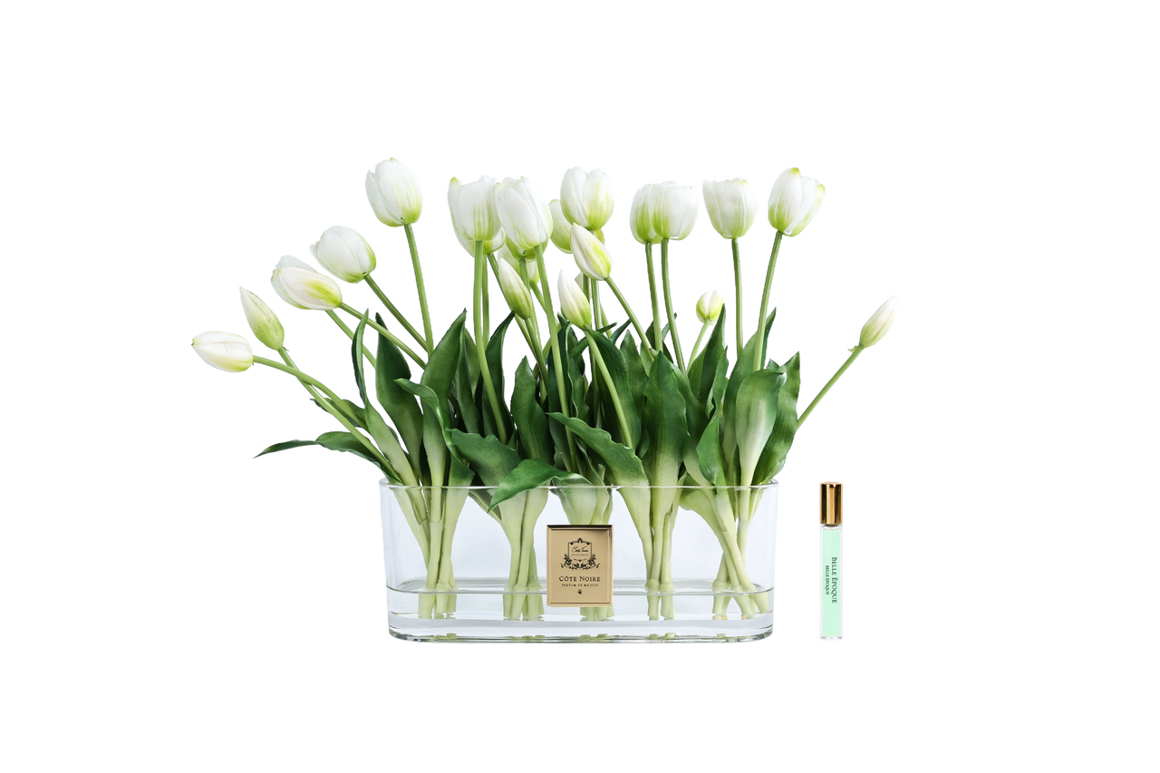*NEW* Oval Tulips - White - OT01