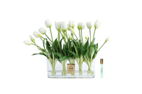 *NEW* Oval Tulips - White - OT01