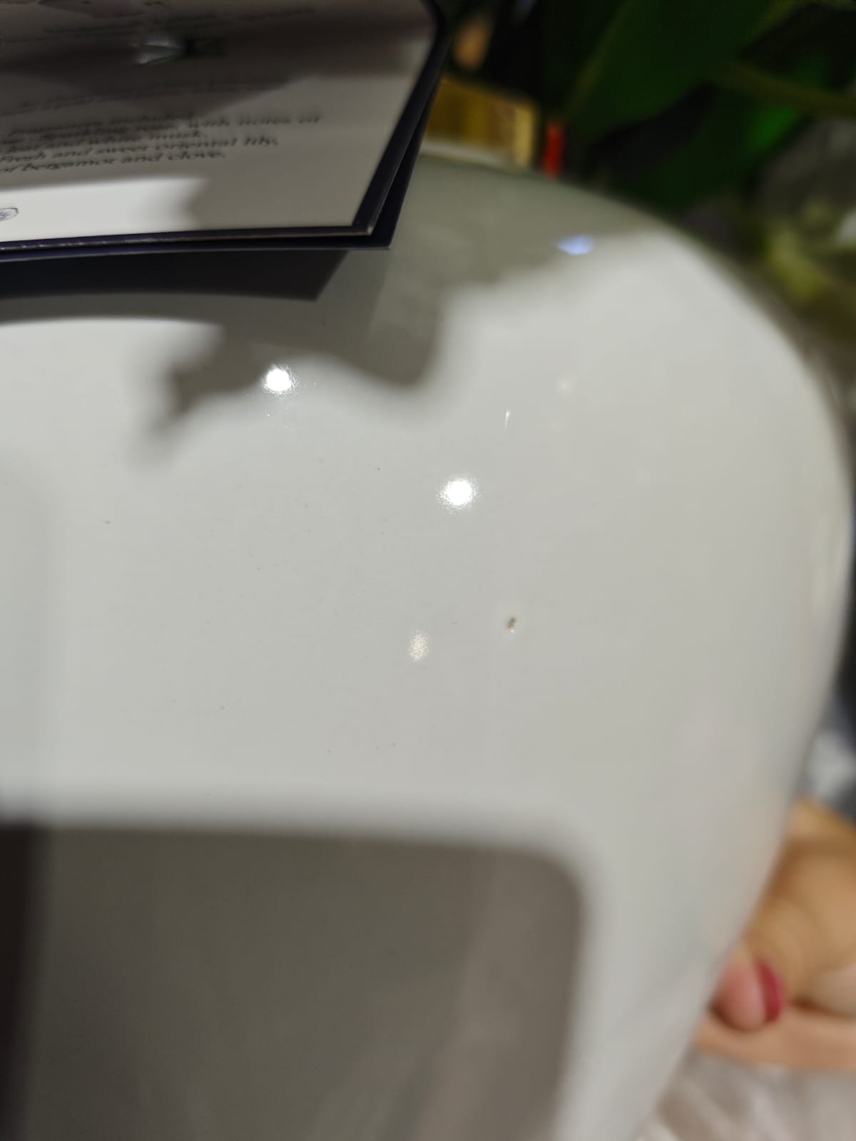 FACTORY SECONDS - SOLD AS IS - Imperial Lilies - White - IMPL01