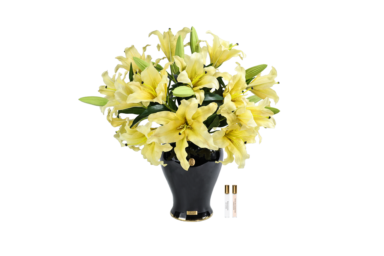 *NEW* Cote Noire Imperial Lilies - Yellow - IMPL08