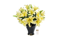 *NEW* Cote Noire Imperial Lilies - Yellow - IMPL08