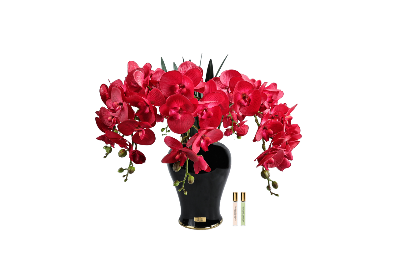*NEW* Imperial Orchid - Scarlet Red - IMPO14