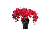 *NEW* Imperial Orchid - Scarlet Red - IMPO14
