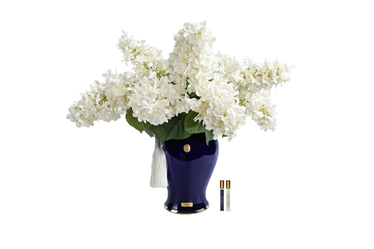 *NEW* INDIGO HYDRANGEAS - Ivory White  - INDH01