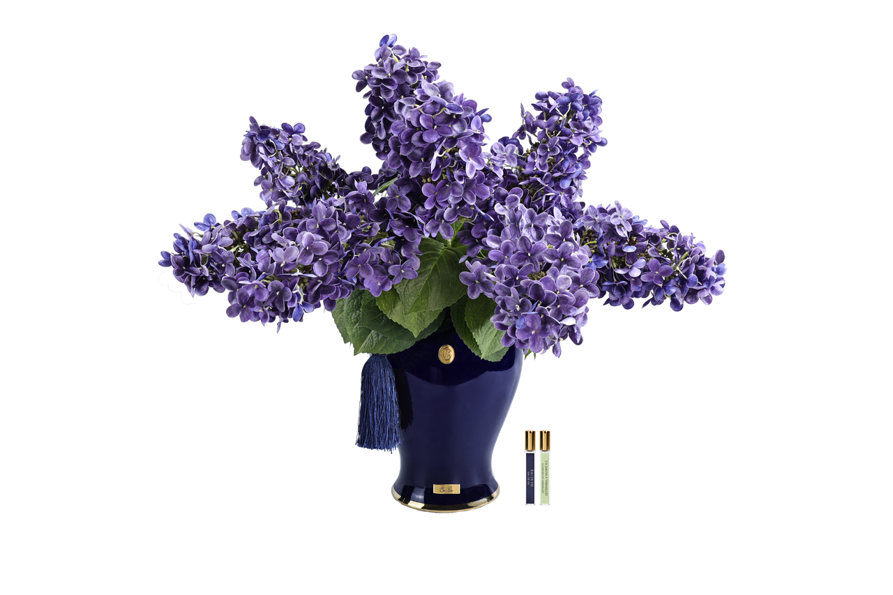 *NEW* INDIGO HYDRANGEAS -Amethyst - INDH15