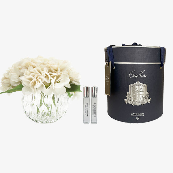 Cote Noire - Luxury Range Hydrangea's - Champagne - Crystal Vase - LHY02