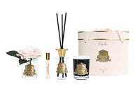 OGP02 | *NEW* Oval Gift Pack