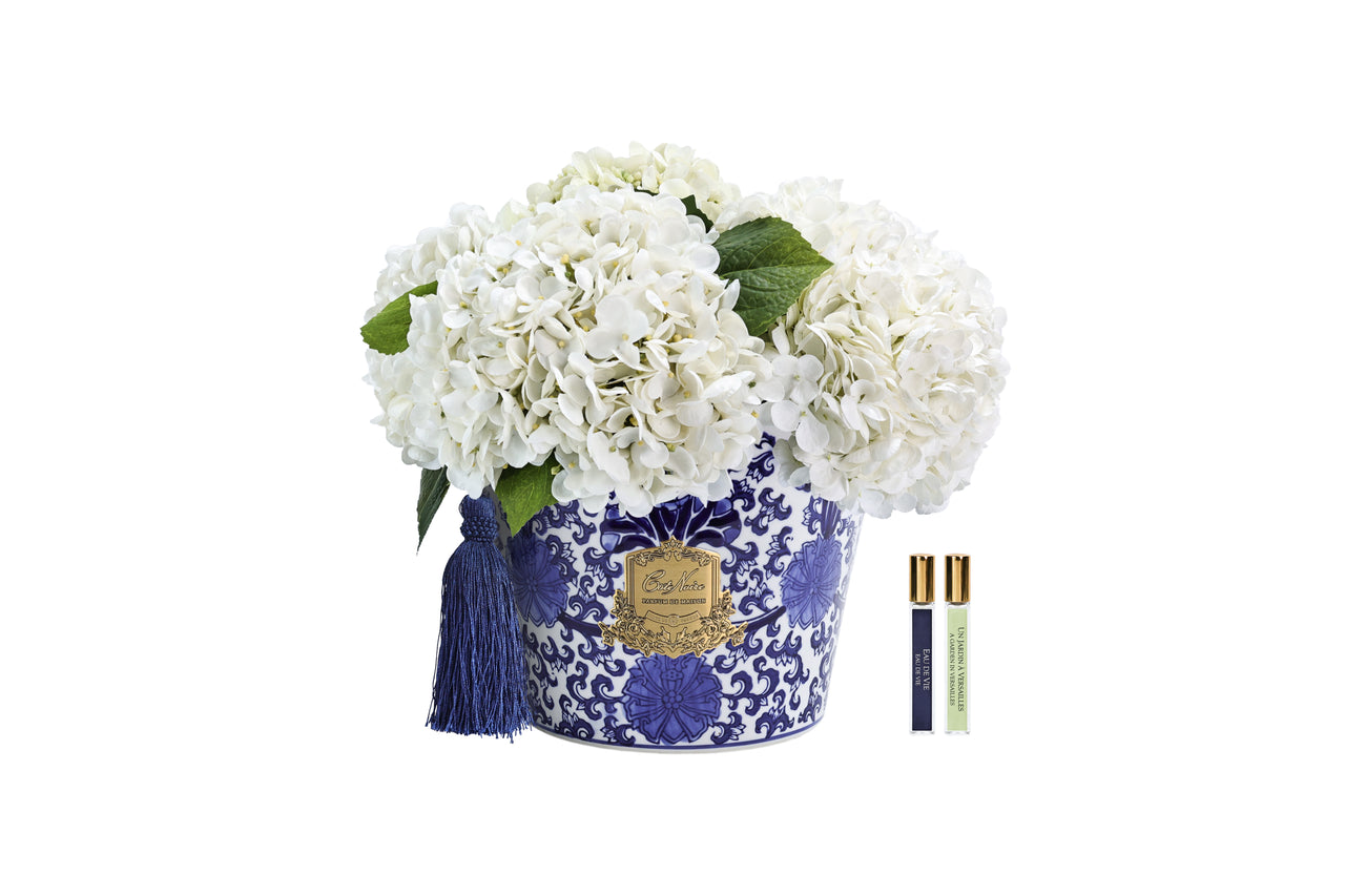*NEW* ORIENTAL HYDRANGEAS - Ivory White - OH01