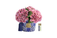 *NEW* ORIENTAL HYDRANGEAS -  Mixed Pink - OH02