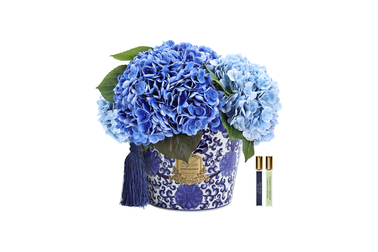 *NEW* ORIENTAL HYDRANGEAS -  Mixed Blue - OH03