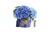 *NEW* ORIENTAL HYDRANGEAS -  Mixed Blue - OH03