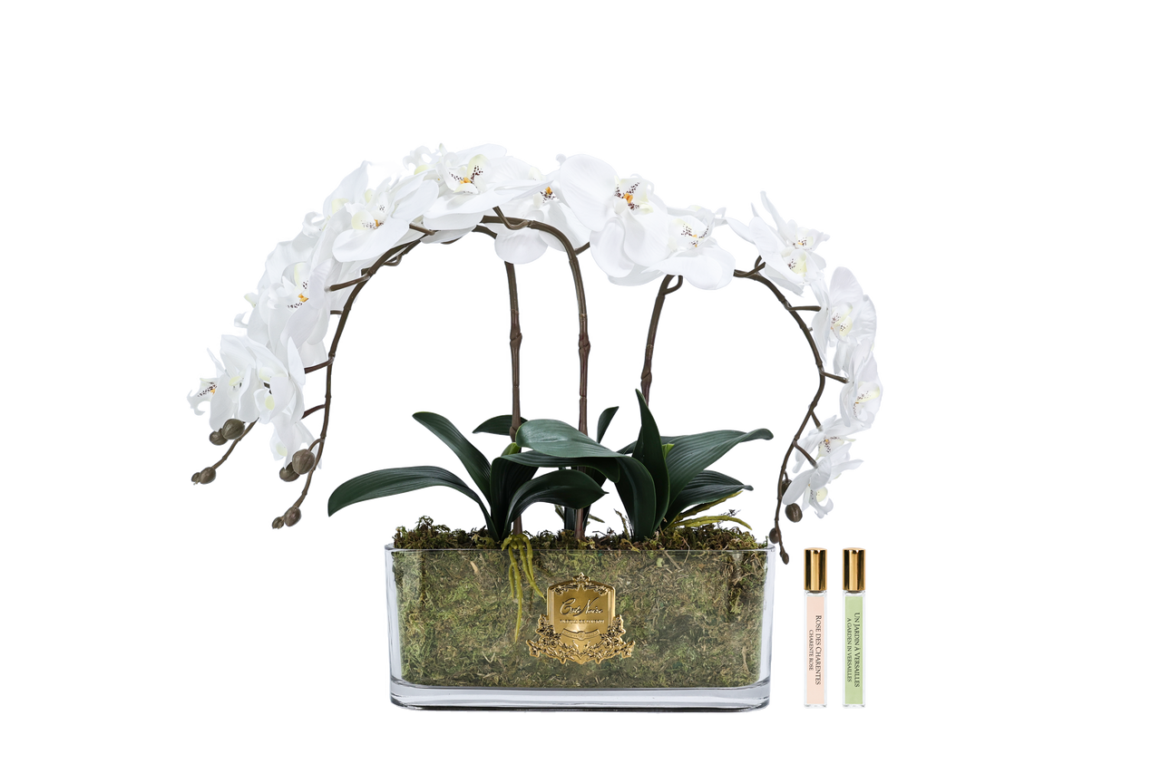 ORCHID BOUQUET - IVORY WHITE & GOLD BADGE - OOV01
