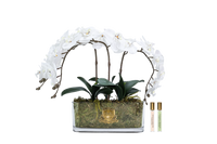 ORCHID BOUQUET - IVORY WHITE & GOLD BADGE - OOV01