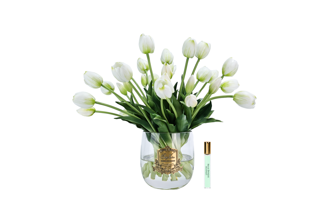 NEW - Cote Noire Heritage Tulips - Clear Vase with Gold Badge - White - HT01
