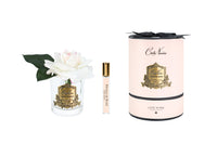 RMR02 | *NEW* French Rose Blush & Clear Glass