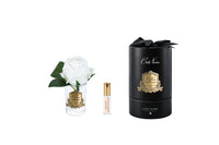 RMR41 | *NEW* Rose bud white & Clear Glass