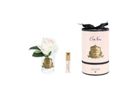 RMR42 | *NEW* Rose bud Blush & Clear Glass