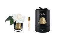RMRB02 | *NEW* French Rose Blush & Black Glass